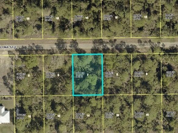 1020 Barcelona Street S, Lehigh Acres FL 33974 — #A11926567