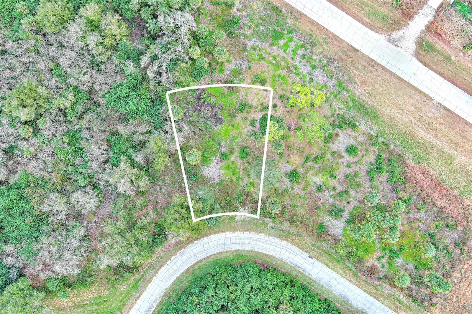 171 CAROUSEL AVE, La Belle FL 33935 — #A11929081