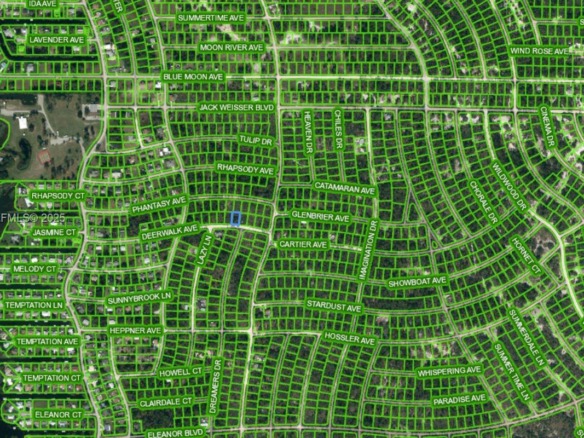 272 DEERWALK AVE, Lake Placid FL 33852 — #A11929870