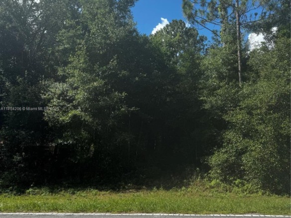 SW 54 th street 54, Other City – In The State Of Florida FL 34431 — #A11754206