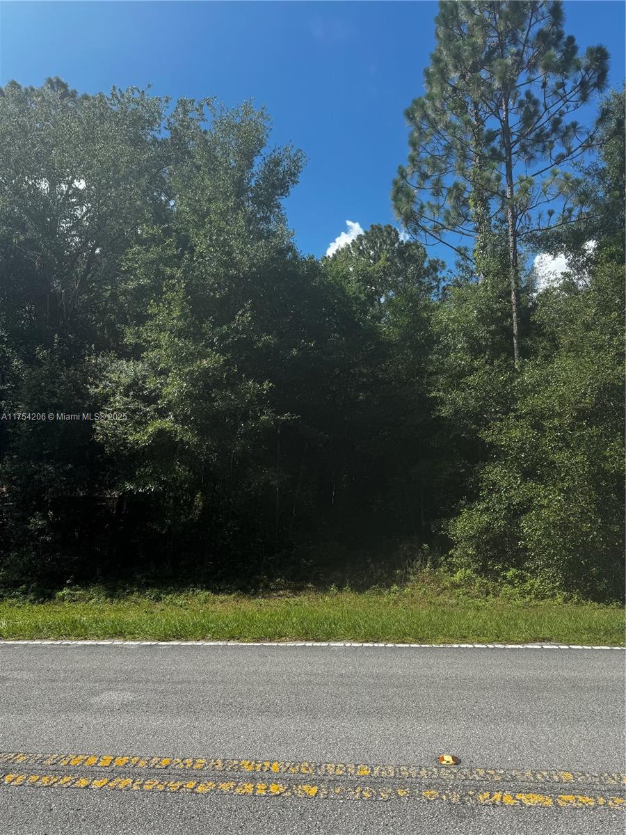 SW 54 th street 54, Other City – In The State Of Florida FL 34431 — #A11754206