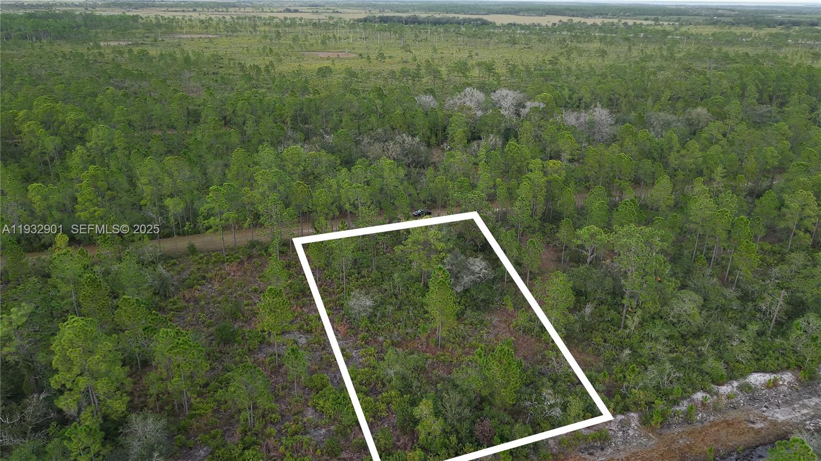 1ad5be0d-1723 215 IXORA DR, Other City – In The State Of Florida FL 33855 — #A11932901