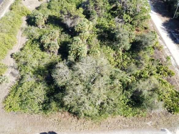 7502 JOAN AVE N, Lehigh Acres FL 33971 — #A11933723