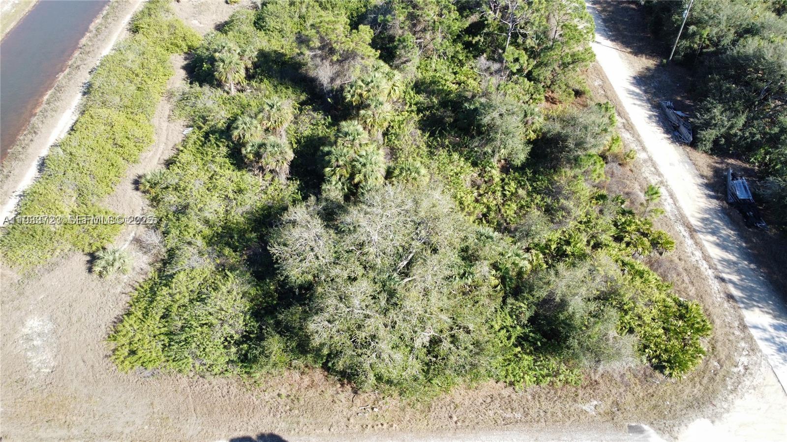 DCIM100MEDIADJI_0811.JPG 7502 JOAN AVE N, Lehigh Acres FL 33971 — #A11933723