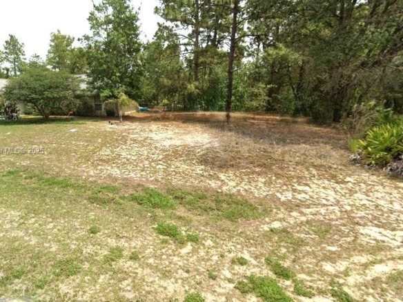 1139 W HAMPSHIRE, Citrus Springs FL 34434 — #A11830921