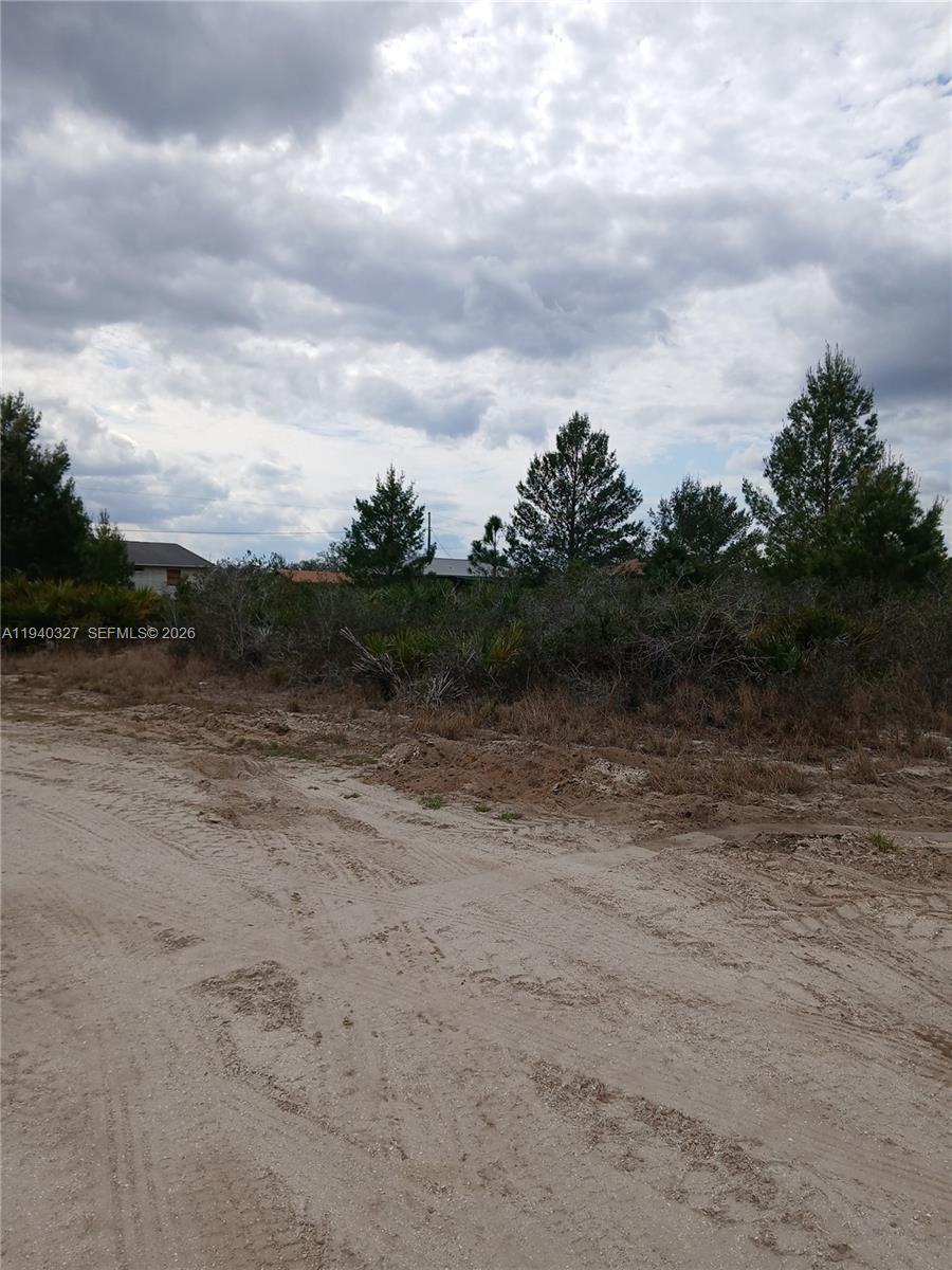 2935 W GAFFNEY RD, Avon Park FL 33825 — #A11940327