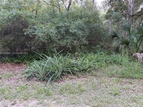 0 St Benedict Dr, Other City – In The State Of Florida FL 34432 — #A11942987