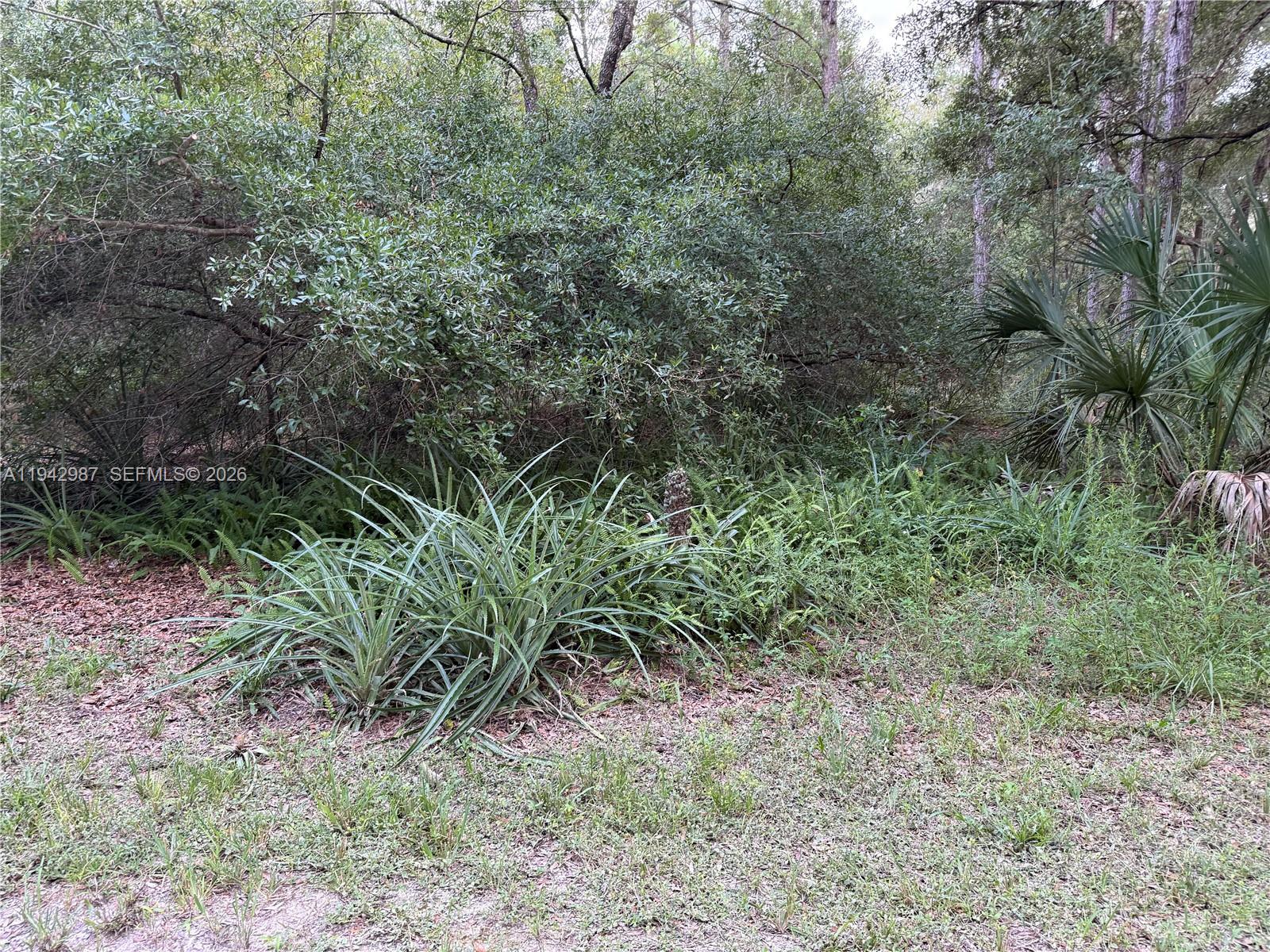 1ad5be0d-2261 0 St Benedict Dr, Other City – In The State Of Florida FL 34432 — #A11942987