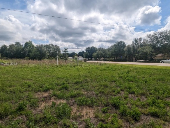 51 E Citrus Springs Blvd, Citrus Springs FL 34434 — #A11409867