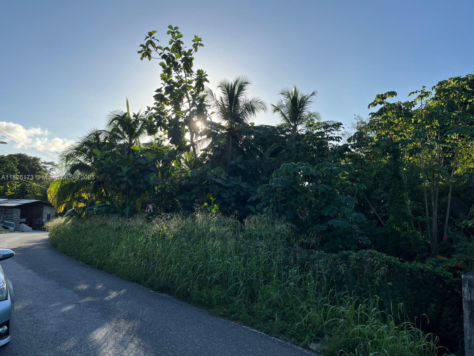 1ad5be0d-275 Nestor Village Sangre Grande, 00000 — #A11826173