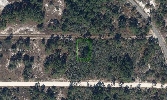 341 Moon River Ave, Lake Placid FL 33852 — #A11482087