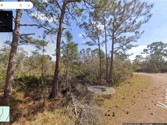 1245 KUMQUAT ST, Lake Placid FL 33852 — #A11581380