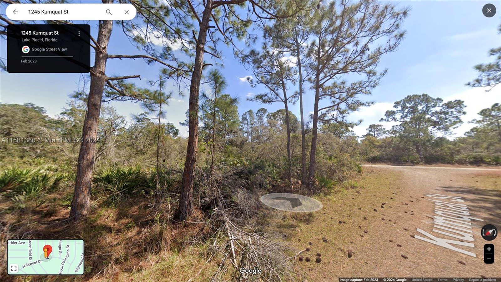 1245 KUMQUAT ST, Lake Placid FL 33852 — #A11581380