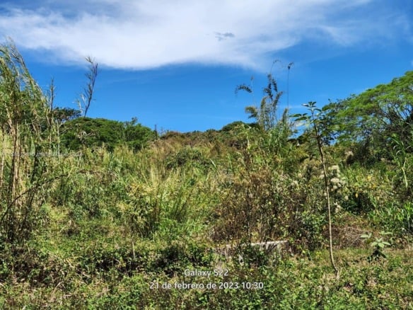 no # Puente de Piedra y Tacares Alajuela Grecia C R, CR — #A11586128
