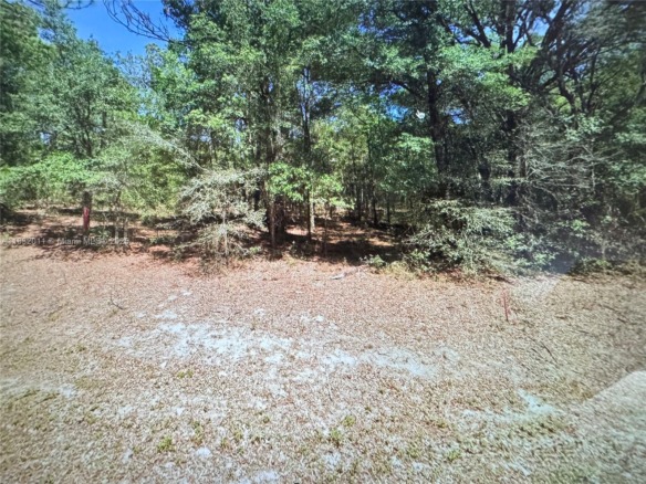 5565 SW SW 199th CT, Other City – In The State Of Florida FL 34431 — #A11832011