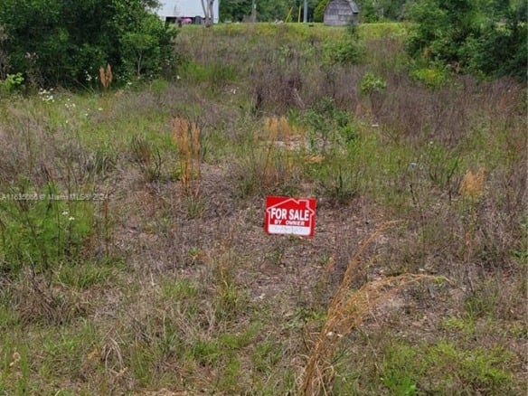 0 Lenore Ave, Palatka FL 32148 — #A11635066