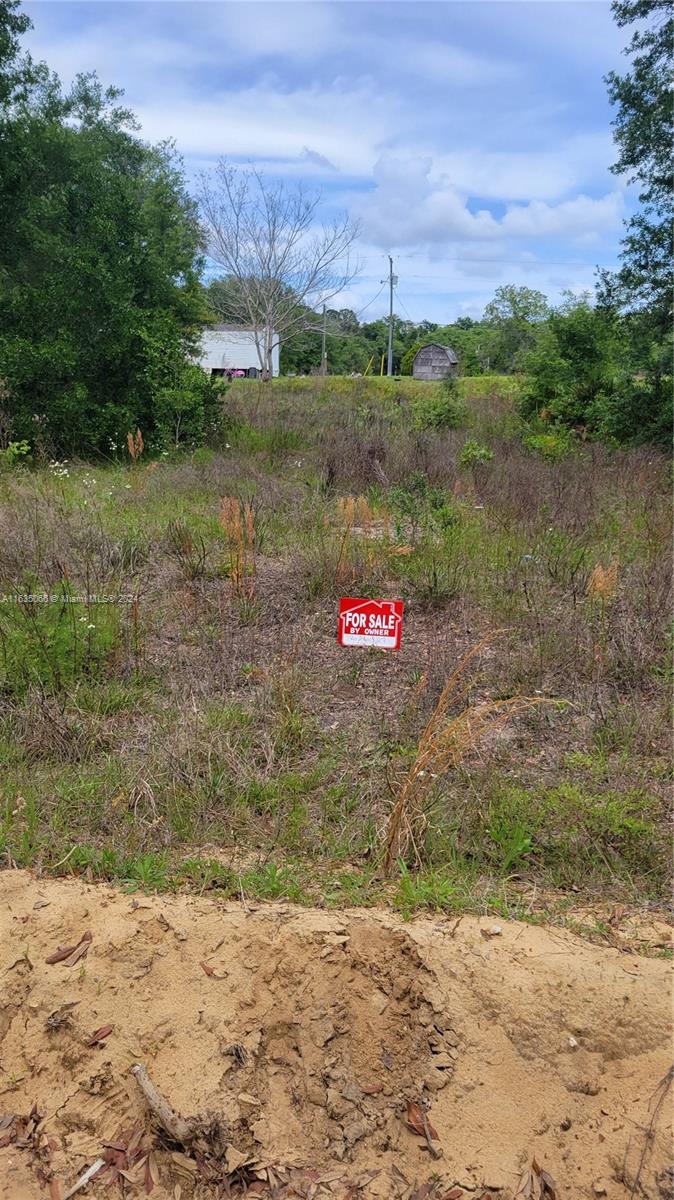 1ad5be0d-3436 0 Lenore Ave, Palatka FL 32148 — #A11635066