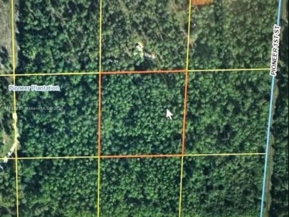 305 Yeehaw Ave, Clewiston FL 33040 — #A11832837