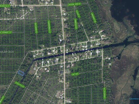 1507 Lindberg Ave, Lake Placid FL 33872 — #A11676893