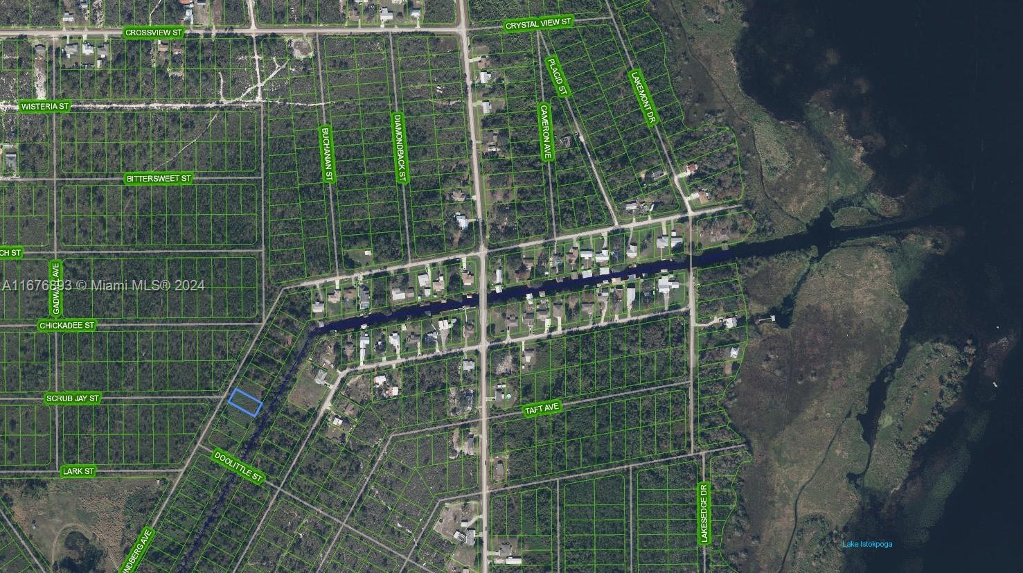 1507 Lindberg Ave, Lake Placid FL 33872 — #A11676893