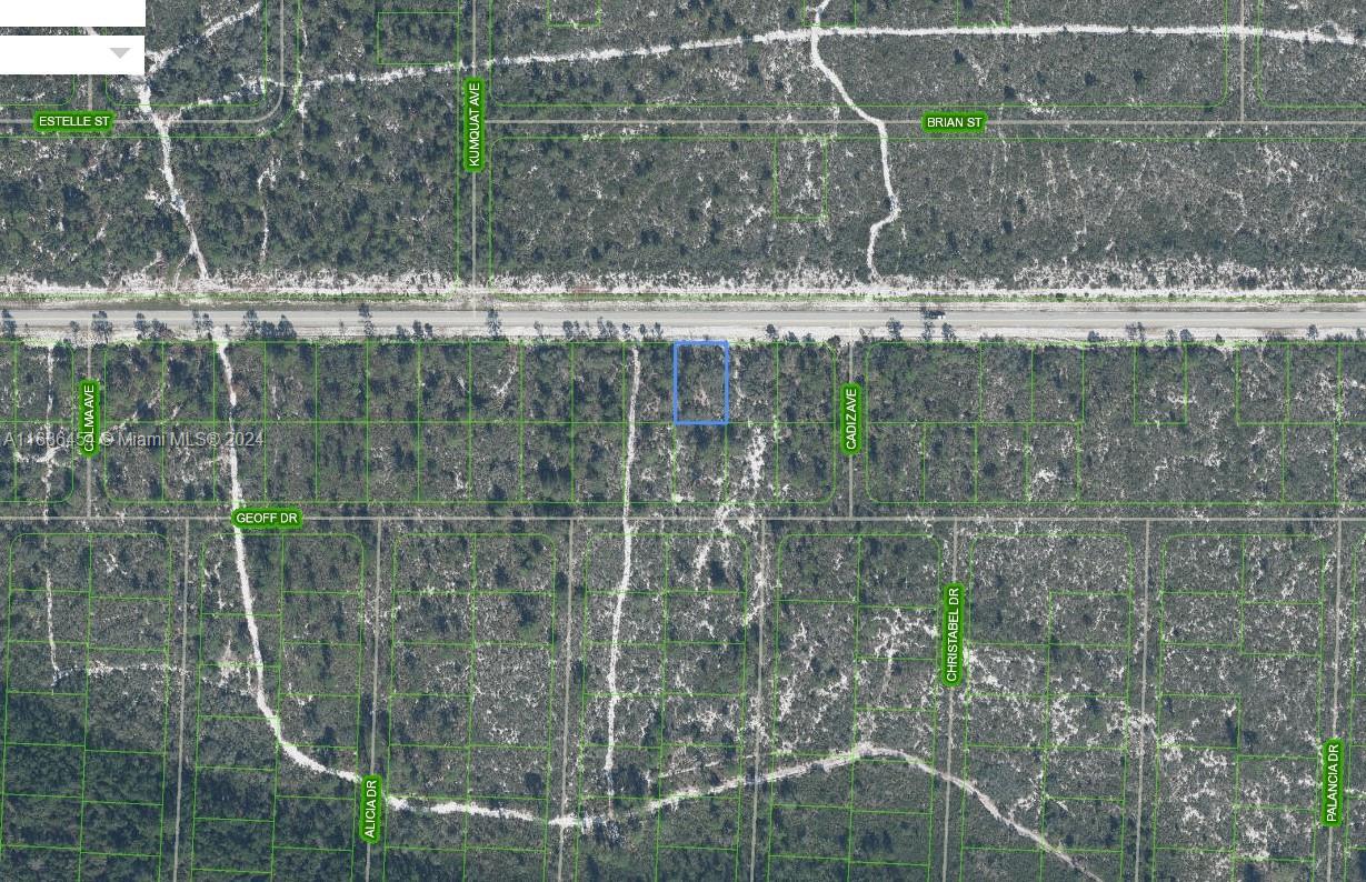 1ad5be0d-3764 6737 Columbus Blvd, Sebring FL 33872 — #A11686454
