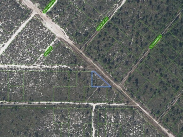 536 Nevada Avenue, Lake Placid FL 33852 — #A11696495