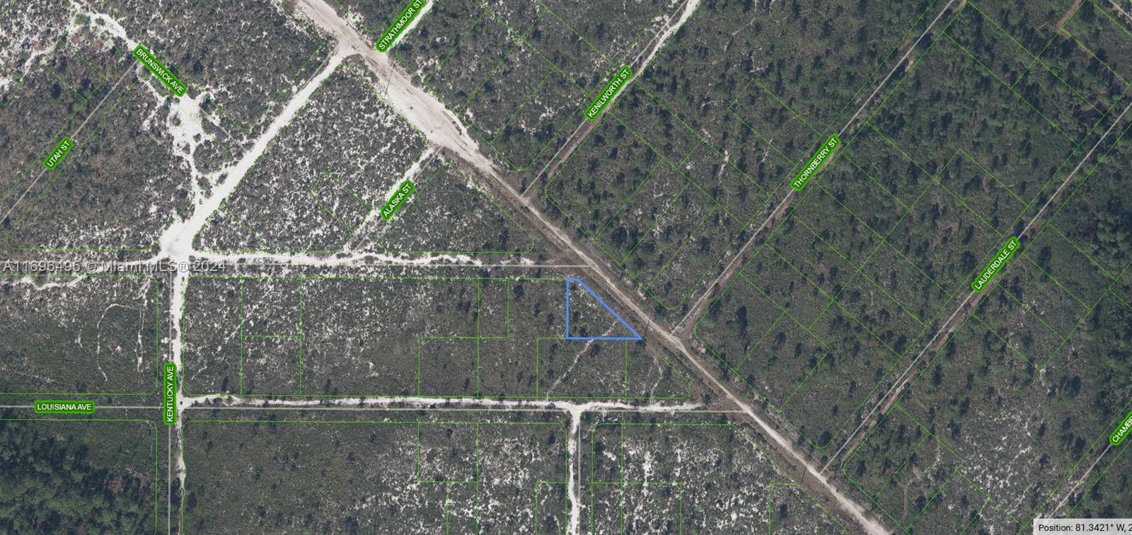 536 Nevada Avenue, Lake Placid FL 33852 — #A11696495