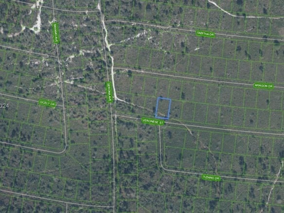 8136 Veronese Street, Sebring FL 33872 — #A11710929