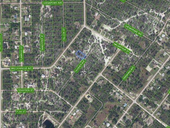 1066 Hughes Avenue, Lake Placid FL 33852 — #A11729396
