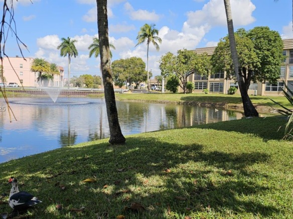 9380 Sunrise Lakes Blvd # 103, Sunrise FL 33322 — #A11742513