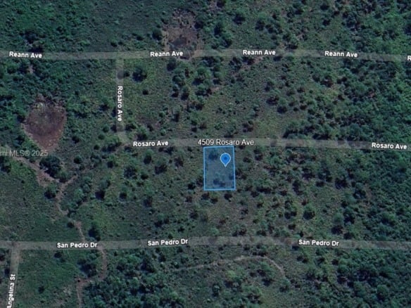 4509 Rosaro Ave, Sebring FL 33872 — #A11747797