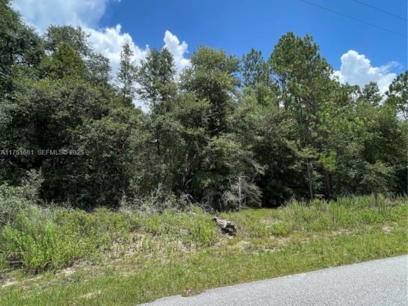 tbd SW 59th LN, Other City – In The State Of Florida FL 34431 — #A11751681