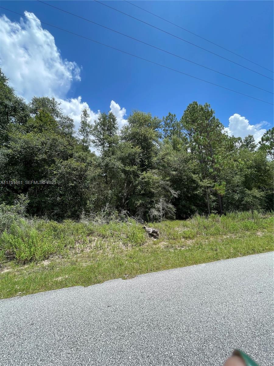 tbd SW 59th LN, Other City – In The State Of Florida FL 34431 — #A11751681