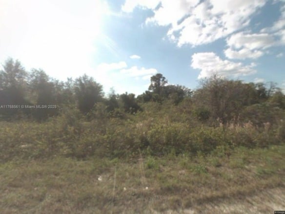 1915 index Court, Lehigh Acres FL 33972 — #A11768561