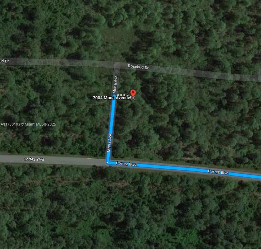 1ad5be0d-4971 7004 Mona Avenue, Sebring FL 33872 — #A11780193