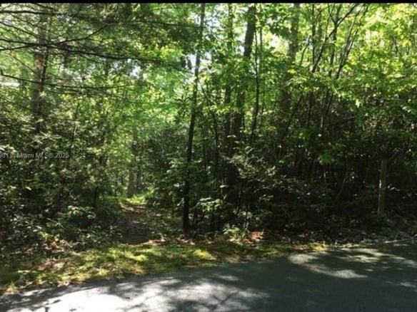 Lot 66 Juniper Court, NC 28774 — #A11785981