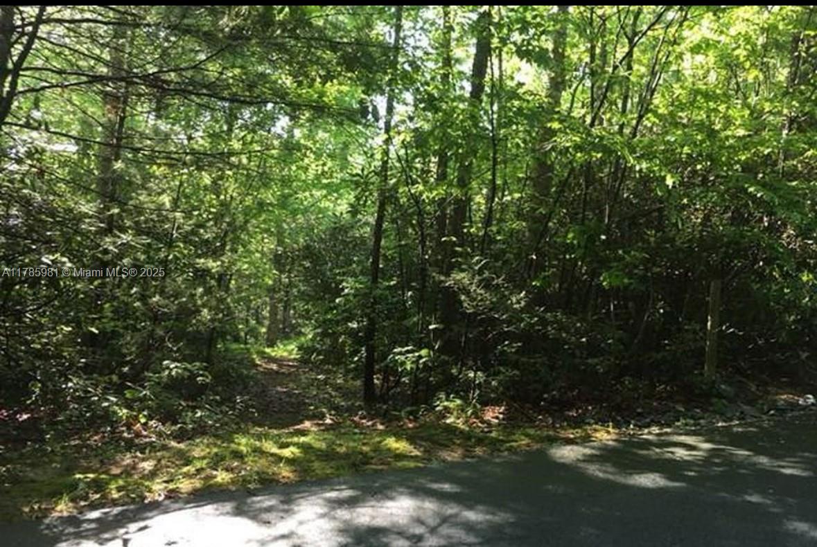 Lot 66 Juniper Court, NC 28774 — #A11785981