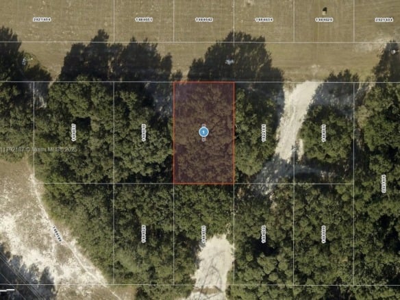 Lady Lake Monterey, Other City – In The State Of Florida FL 32159 — #A11792187