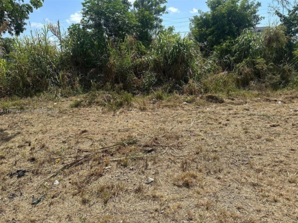 10025 W Indigo, Miami FL 33157 — #A11797341