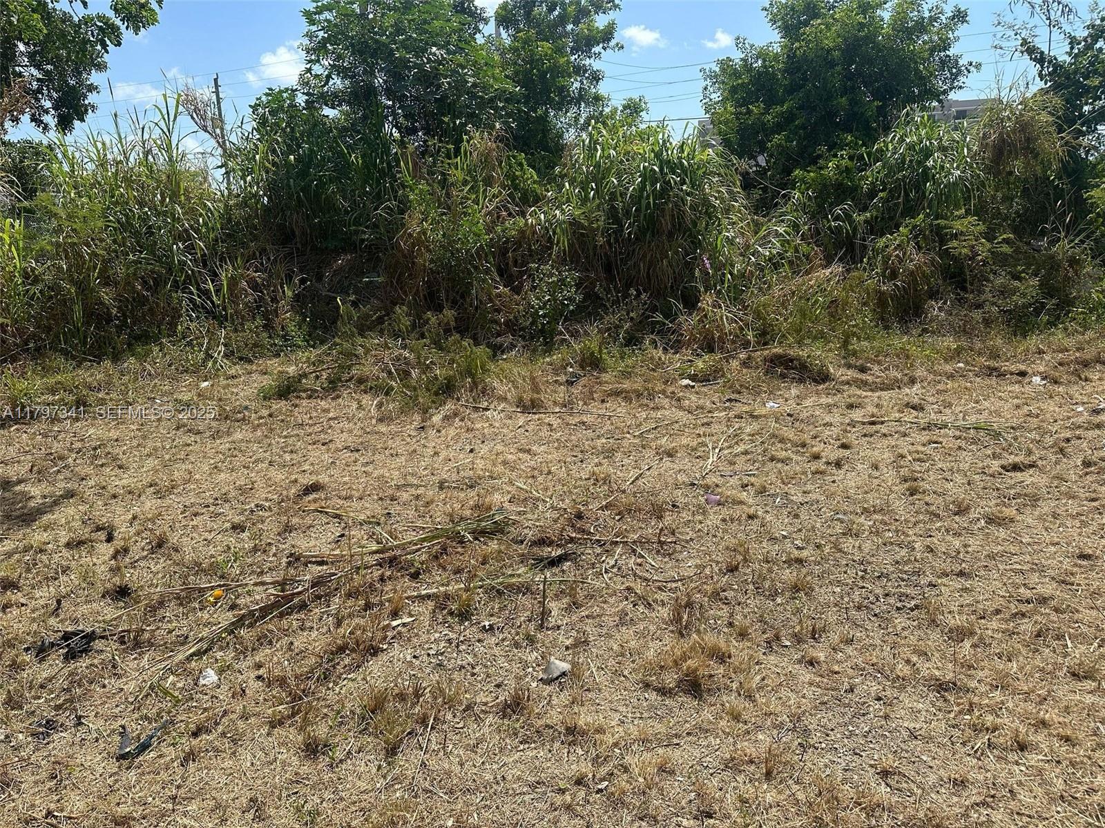 10025 W Indigo, Miami FL 33157 — #A11797341