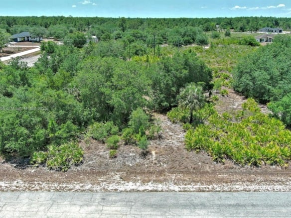 603 FITCH AVE, Lehigh Acres FL 33972 — #A11802458