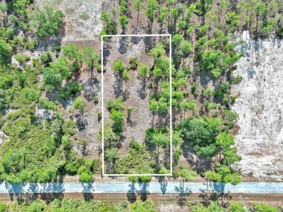 317 Fitch Ave, Lehigh Acres FL 33936 — #A11807893