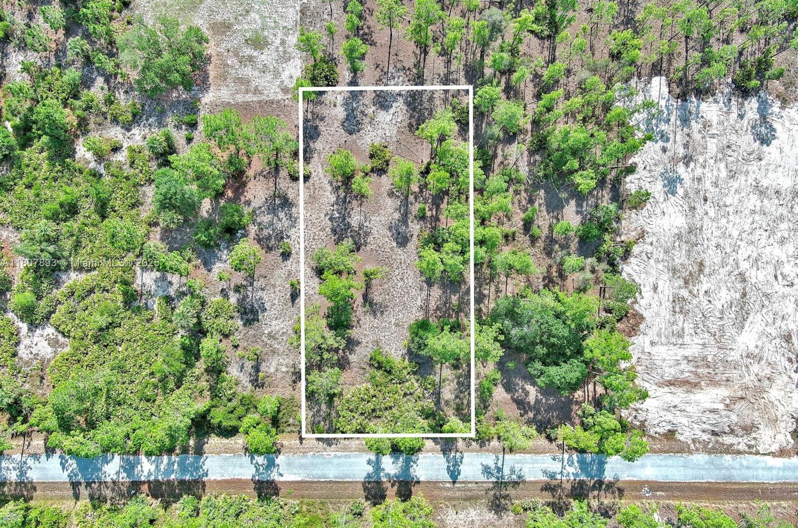 317 Fitch Ave, Lehigh Acres FL 33936 — #A11807893