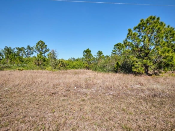 1025 E WINTERS STREET, Lehigh Acres FL 33974 — #A11825886