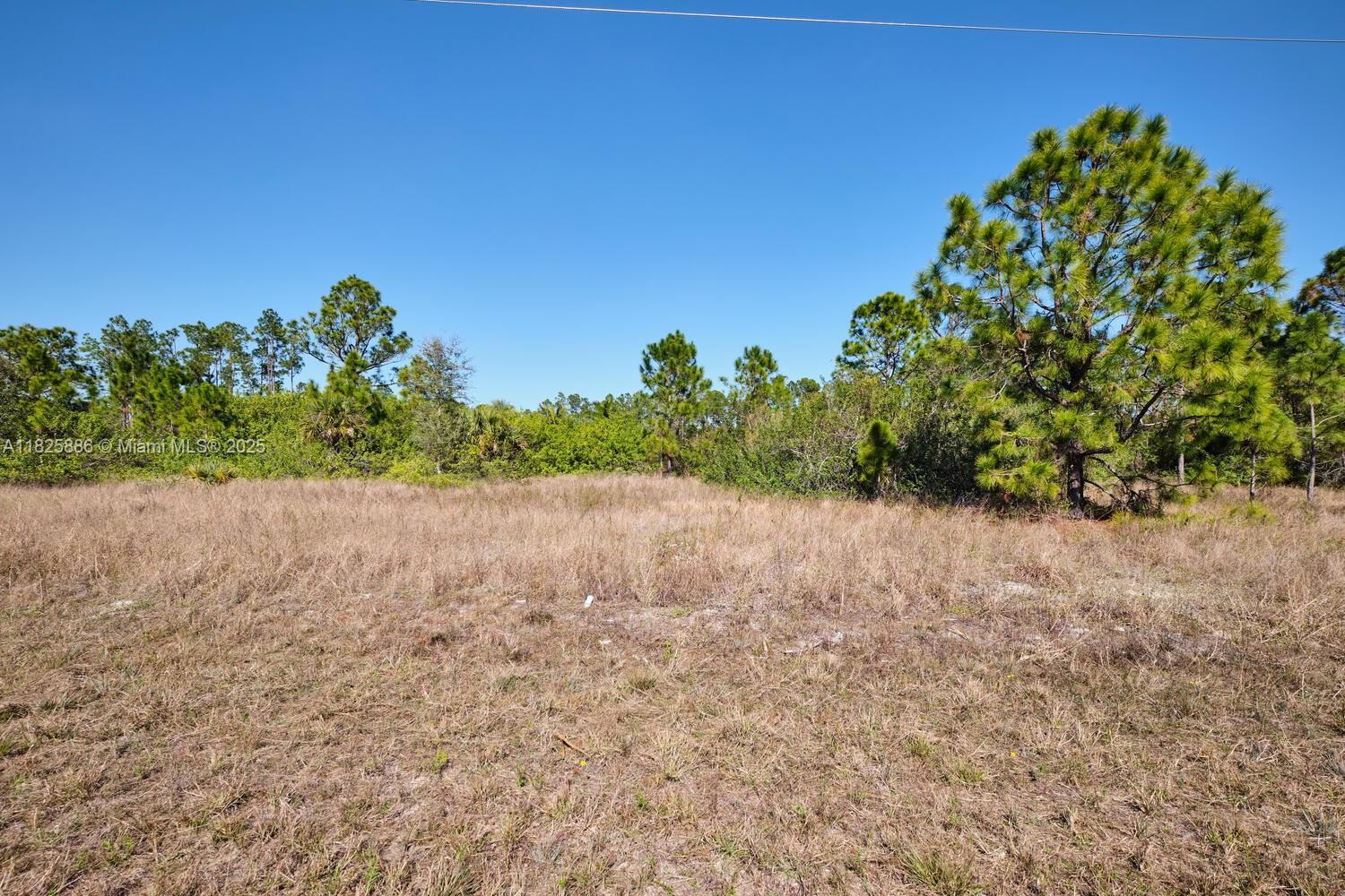 1ad5be0d-5953 1025 E WINTERS STREET, Lehigh Acres FL 33974 — #A11825886