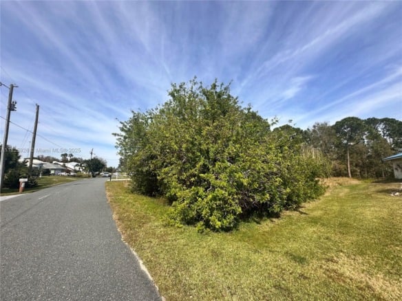 131 Blue Moon Avenue, Lake Placid FL 33852 — #A11825926