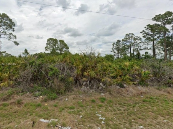1247 Antonio Street E, Lehigh Acres FL 33974 — #A11837868