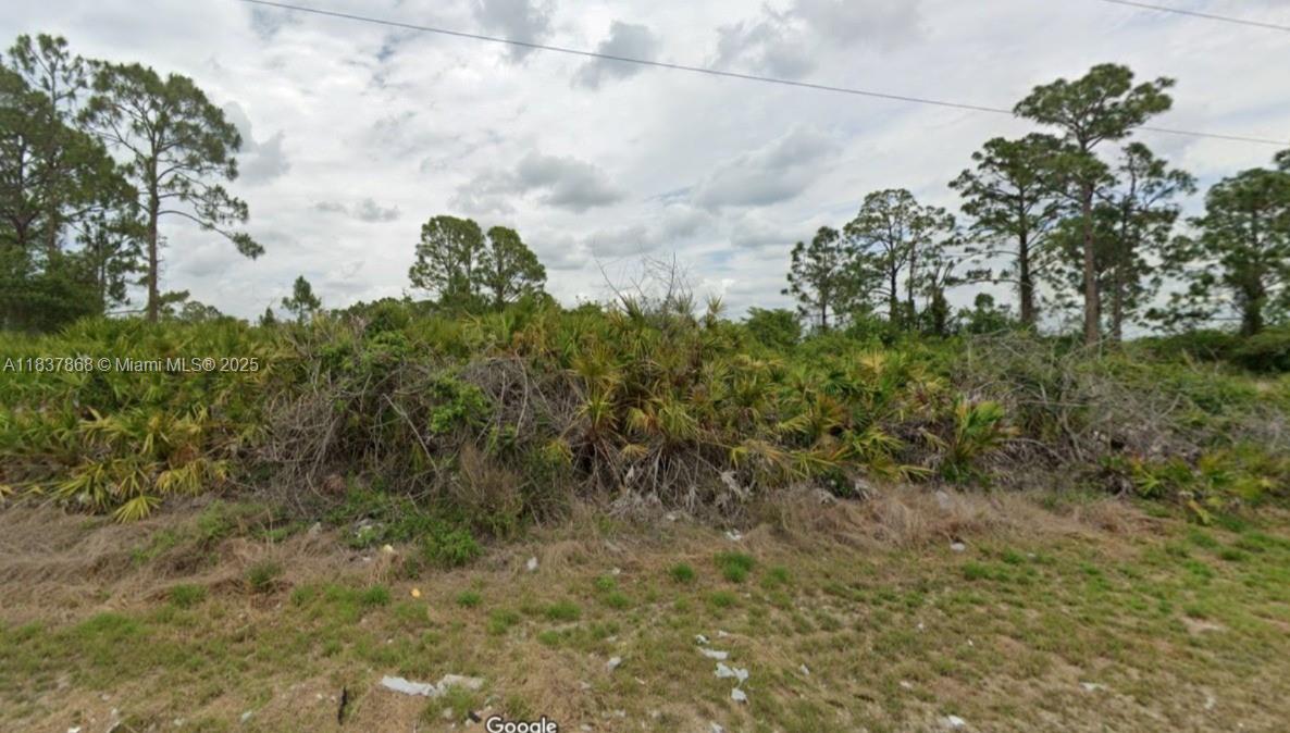 1ad5be0d-6296 1247 Antonio Street E, Lehigh Acres FL 33974 — #A11837868