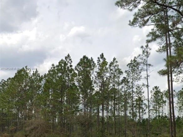 00 Greenley ST, Palatka FL 32148 — #A11841256