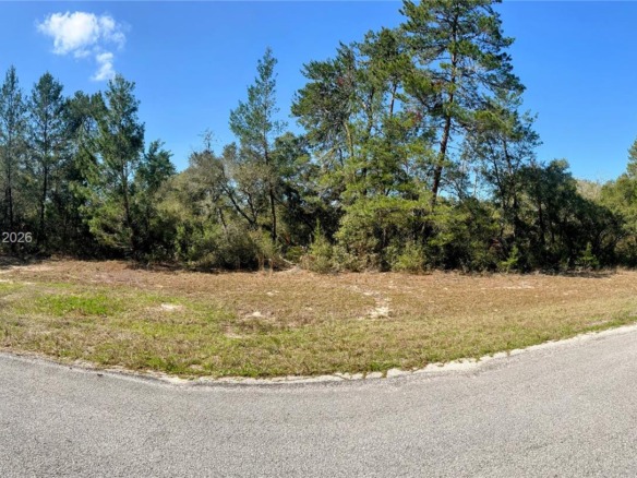 32nd Cir / Marion Oaks Blvd, Ocala FL 34473 — #A11848776